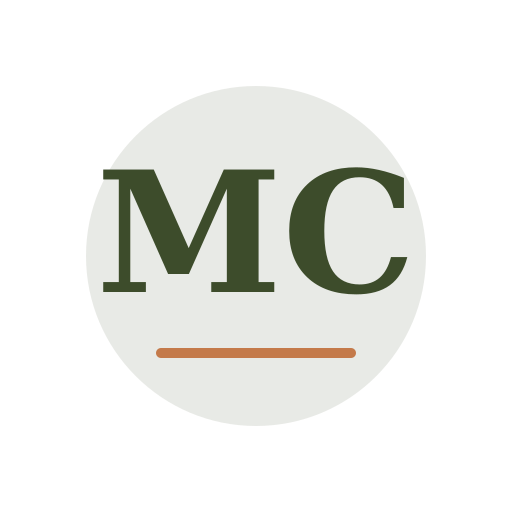 Mini Chimney Services logo